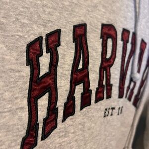 H&M harvard sweatshirt